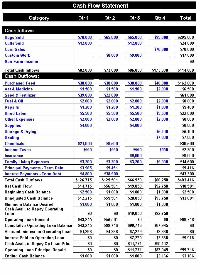 Cash Flow Statement