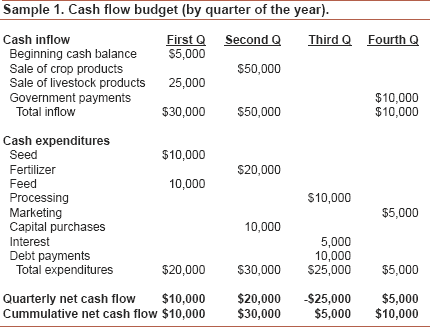 Statement of Cash Flow Analysis