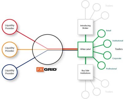 Creating Your Own Forex Trading Systems Currency Access