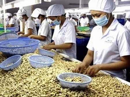 Curbing inflation takes time PM Economy VietNam News