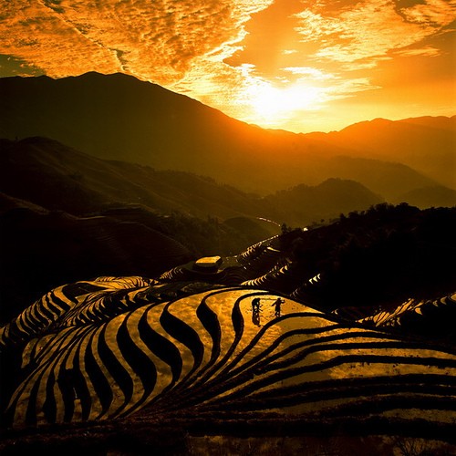 Definitive China ETF Guide 2015