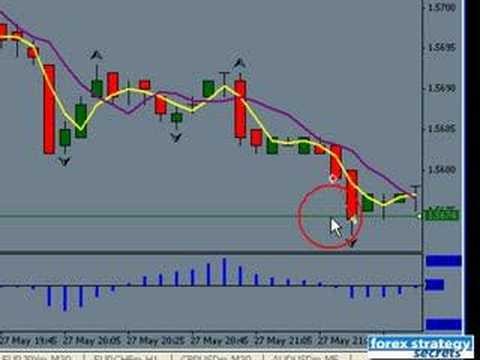 Different Types of Forex Indicators