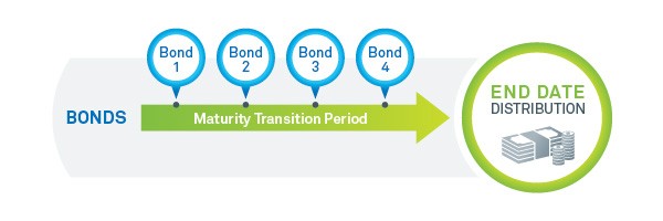 Building a Portfolio with iShares