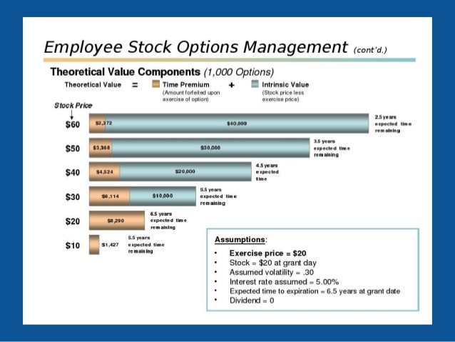 Employee Stock Options_1 Employee Stock Options_1