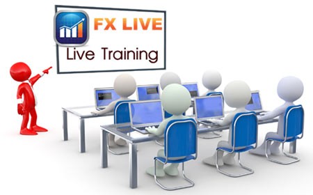 Finding the Right Forex Trading Education