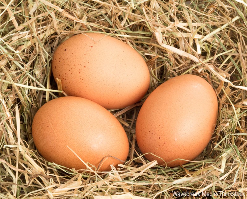 Five Steps to Growing Your Nest Egg