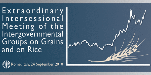 Food Price Volatility Market fundamentals and commodity speculation TripleCrisis