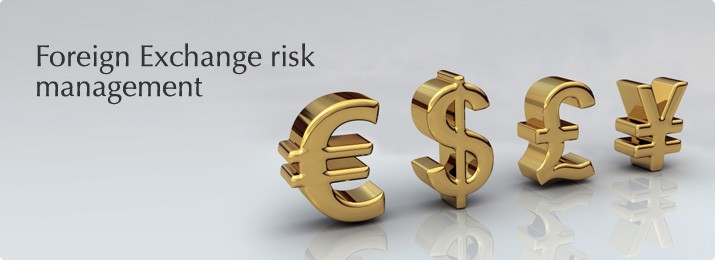 Foreign Exchange Risk