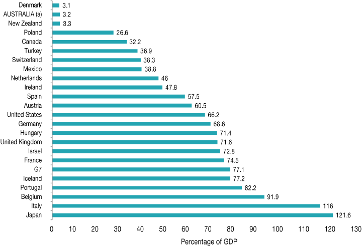 Government Debt Budget