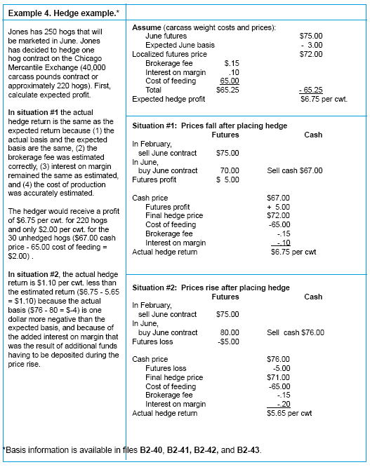 Hedge Definition Example