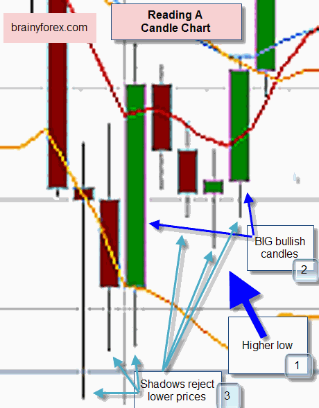 HOW TO PROPERLY READ CANDLE STICKS FOR FOREX TRADING