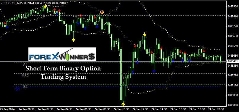 Forex binary options trading