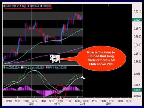 Learn Forex the Right Way with The RSI PRO Forex Trading System