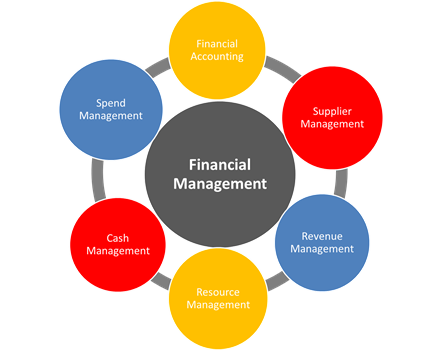 Management Consulting Financial Management