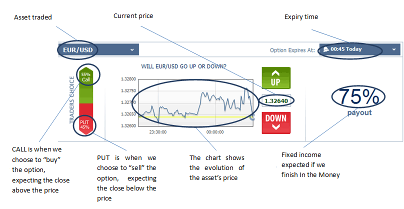 Options Basics