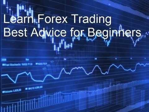 Learn To Trade The Market Launches Free Beginners Forex Trading Education Course