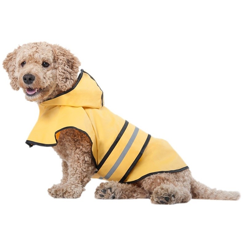 Protective Dog Clothing Options For Your Active Dog