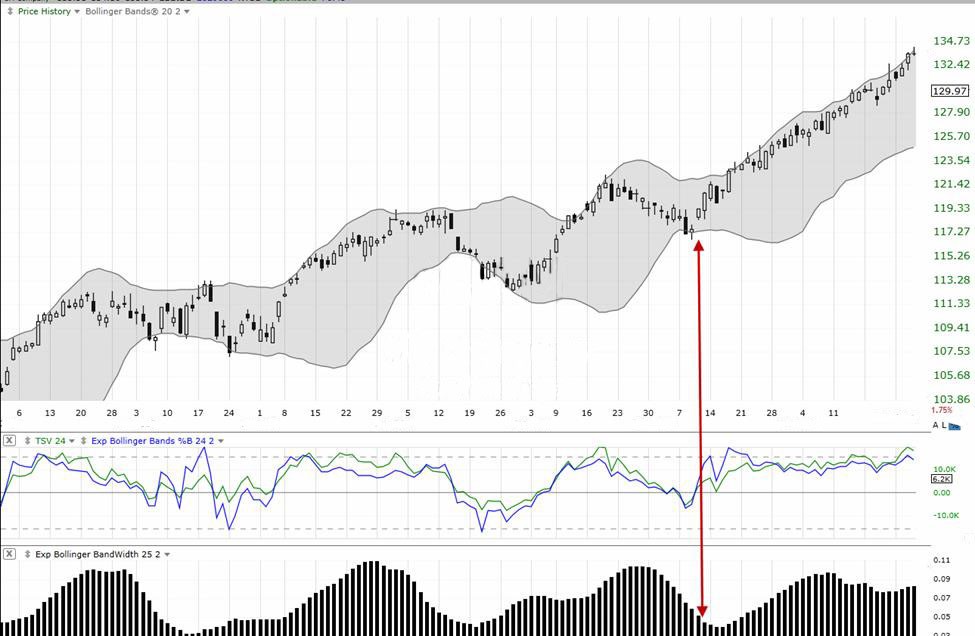 TechniTrader® Candlestick Charts Stock Price Action