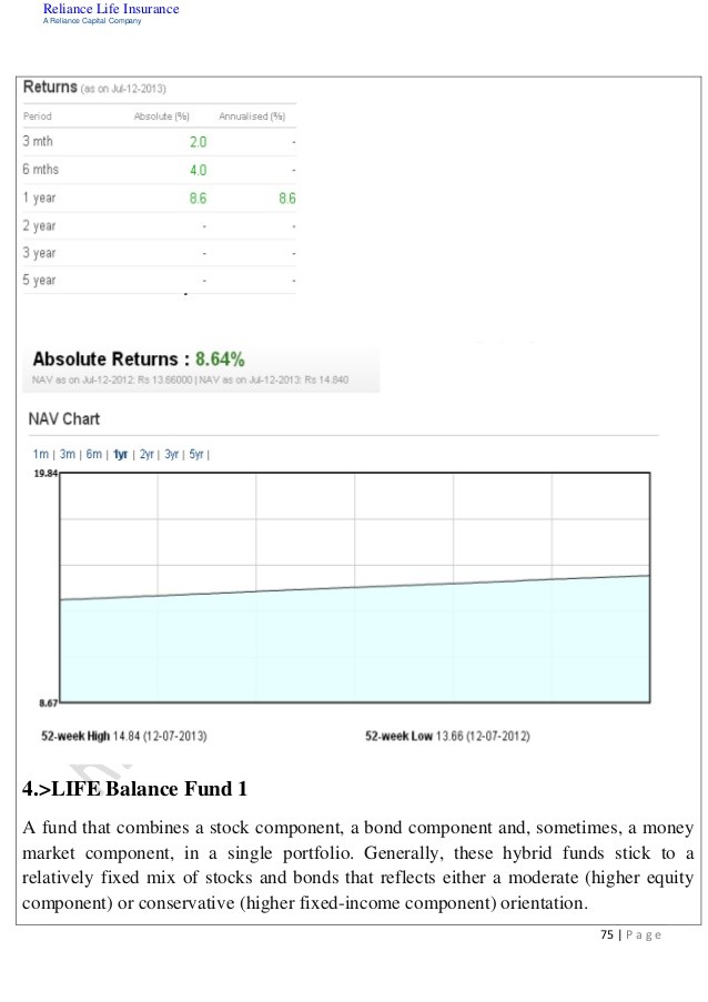 The Employee Stock Option Fund_1