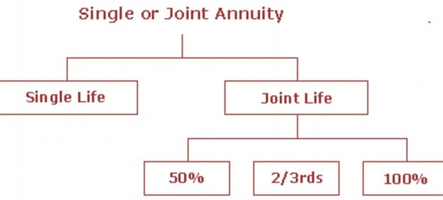 Two Types of Annuities for Retirement Income