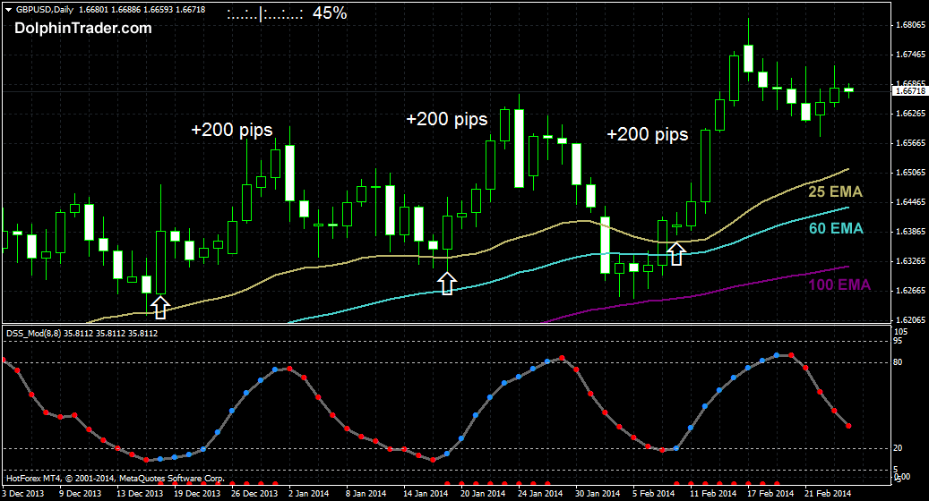 Daily forex binary options Daily forex binary options