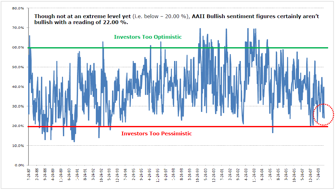 AAII The American Association of Individual Investors