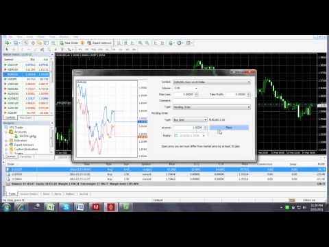 Binary options trading on forexdetroithydroponicsstore