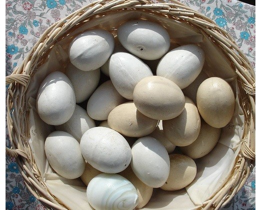 Can You Be Too Diversified With Your Investments Can You Be Too Diversified With Your Investments