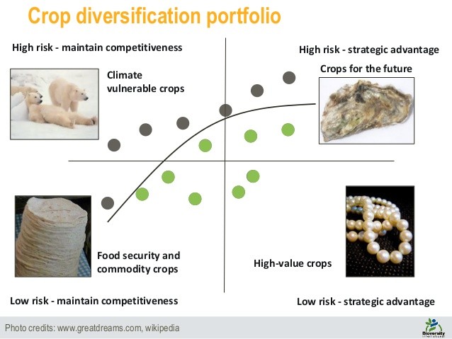 Diversification and Portfolio Risk Management Strategies