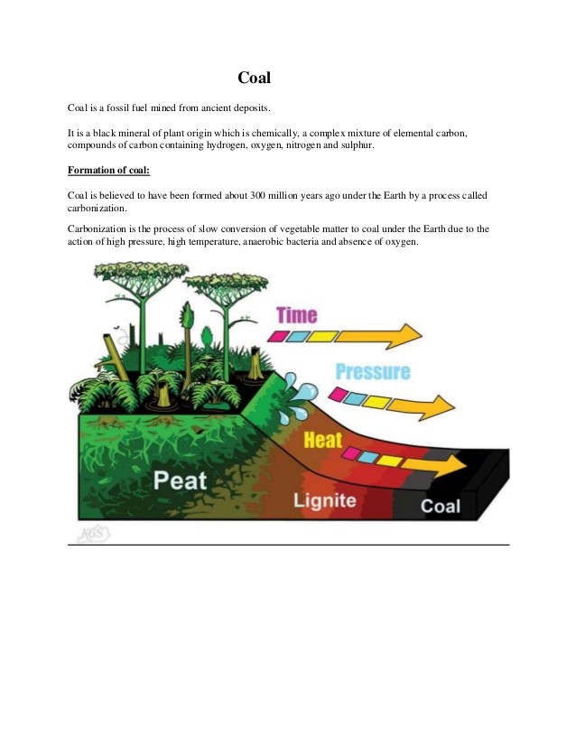 ECO3713 Exam 1 Part 1 ECO 3713 THE GLOBAL MACRO ECONOMY Affects business