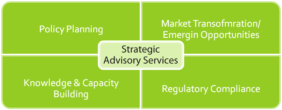 Energy Investor Advisory Services