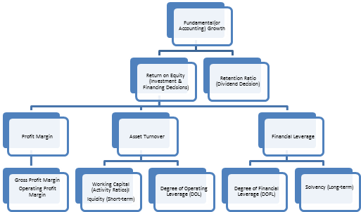 Financial Statement Analysis