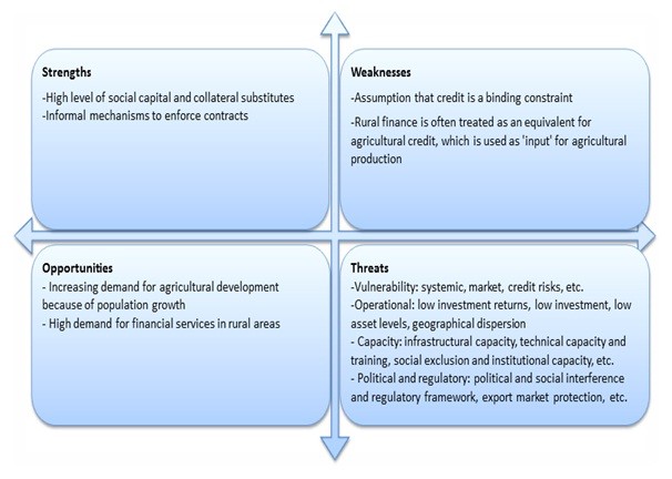 Financial SWOT Analysis