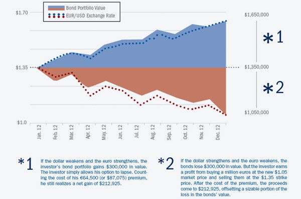 Foreign Currency Hedging