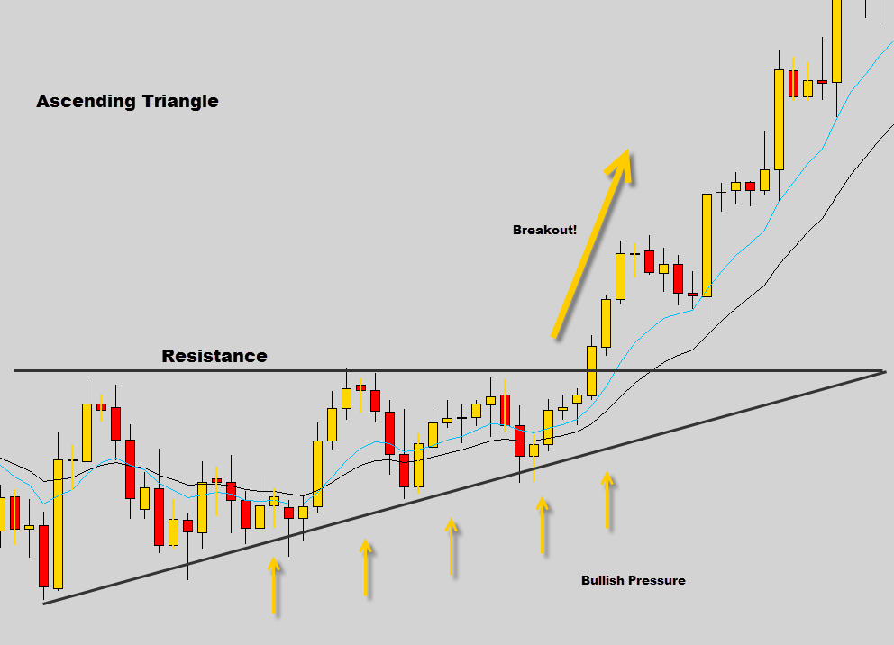 Forex Fans Forex Brokers Forex Skills Forex Examples