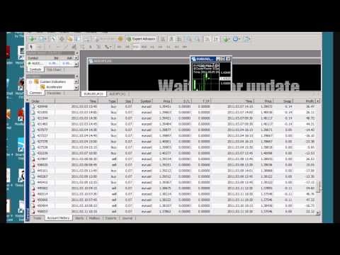 Forex Trading Leverage and Costs Traders Log