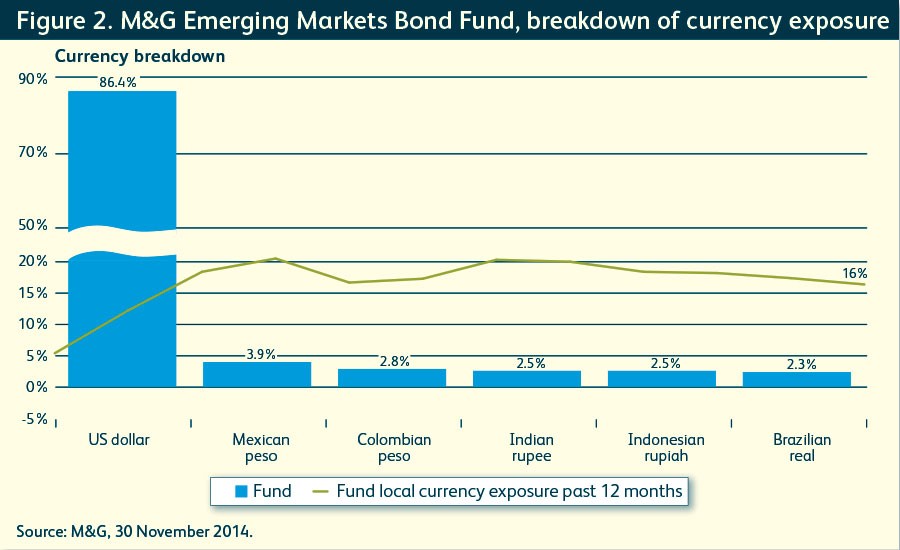 Global Emerging Markets Fund M G Investments