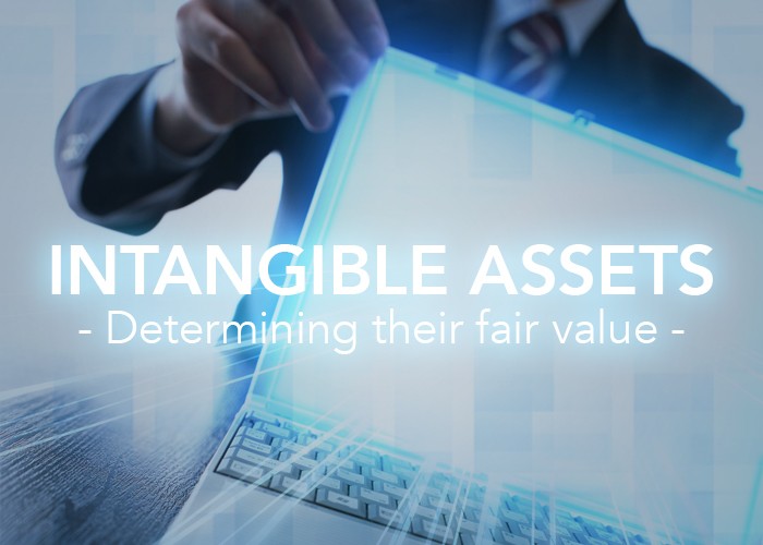 Goodwill vs Other Intangible Assets Whats the Difference