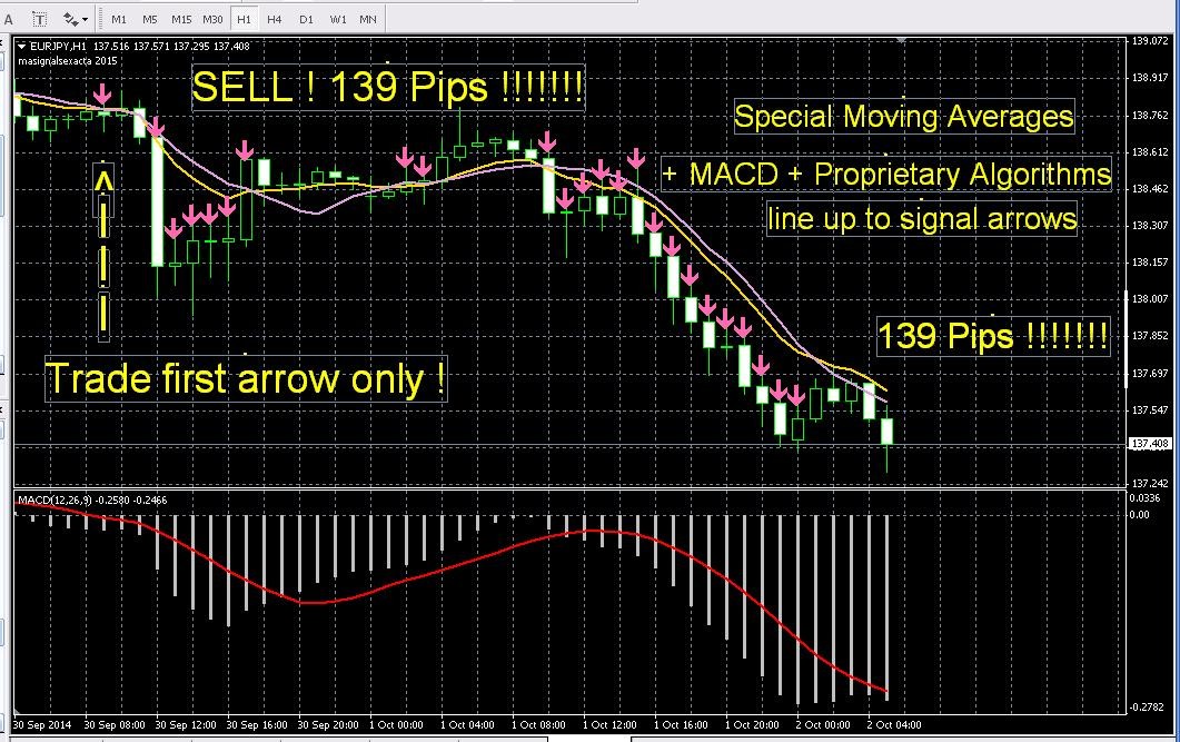 How Accurate Are Leveraged ETFs MetaTrader Expert Advisor