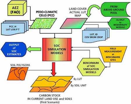 How Do You Use Stock Simulators