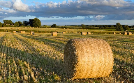 How To Invest In Farmland