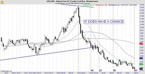 Cocoa Trading Futures Market Cocoa Price Prediction Software