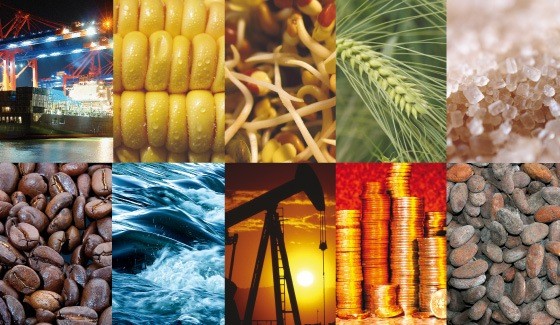 Investing in Commodities_2