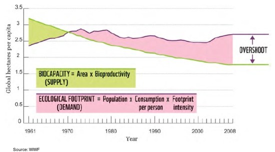 Investing in Commodities