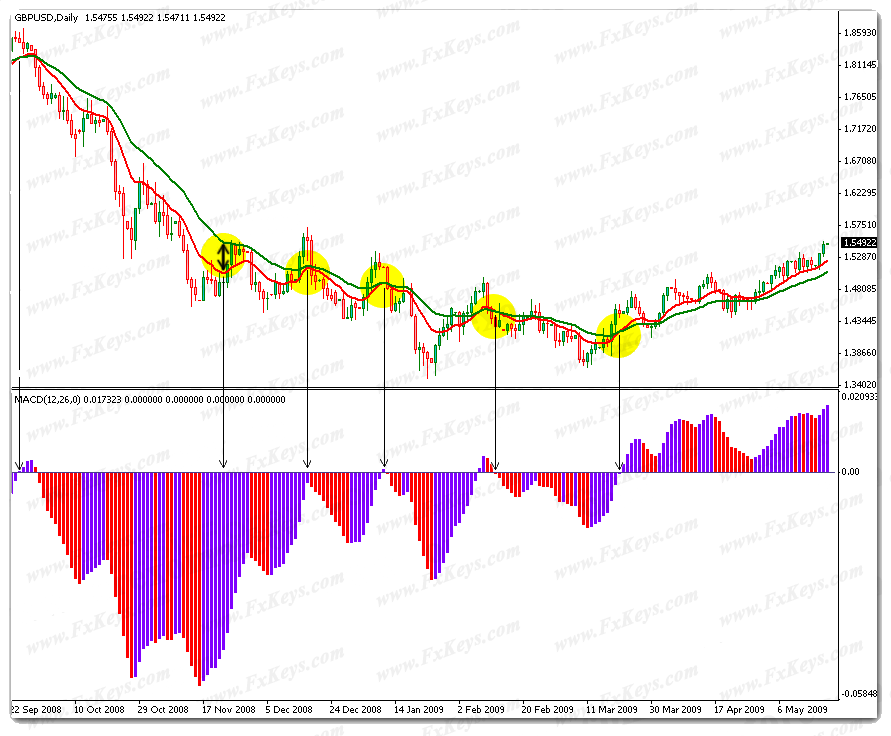 How to use the MACD Indicator to make money from Forex Trading