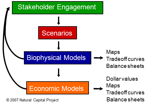 Capital Investment Decisions