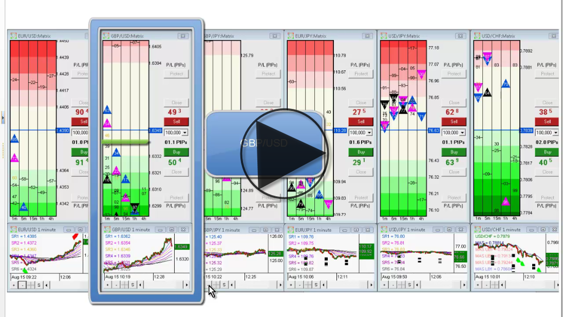 Profit FOREX Trading Adaptation to the Realities of the Market