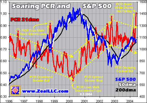 PutCall Ratio for Individual Stocks