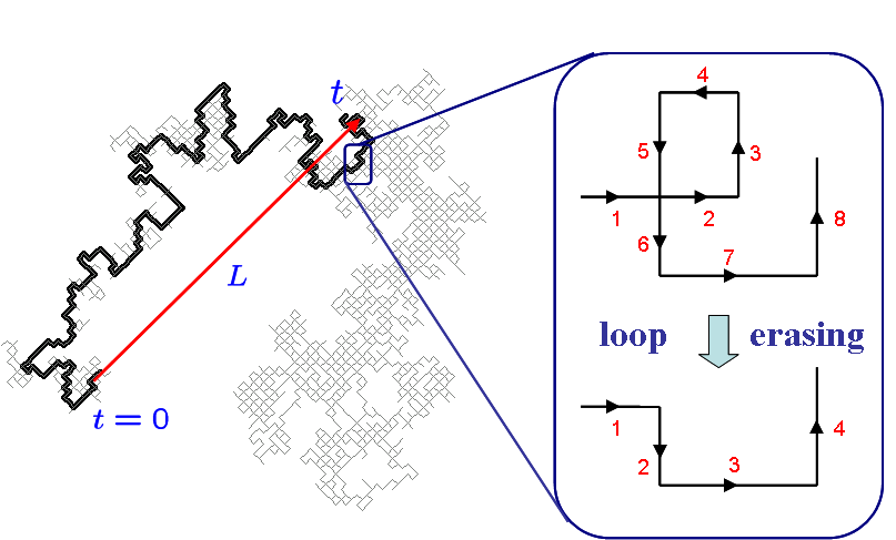 Random Walk Theory