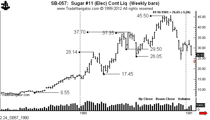 RipRoaring Bull Market’ Ahead Pro